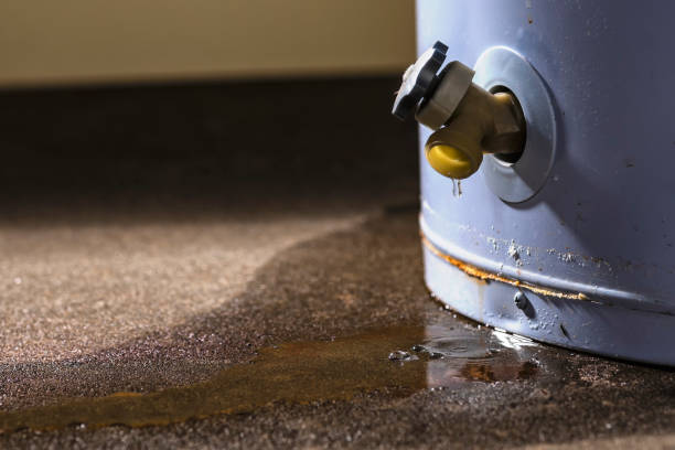 Best Water damage contractors near me  in Collinsville, AL