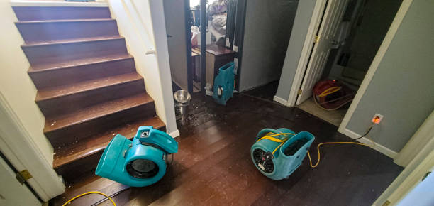 Best 24/7 water damage repair  in Collinsville, AL