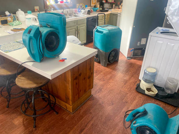 Best Basement water damage restoration  in Collinsville, AL