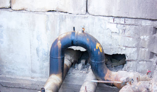 Best Professional water damage repair  in Collinsville, AL
