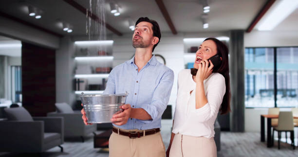 Best Carpet water damage restoration  in Collinsville, AL